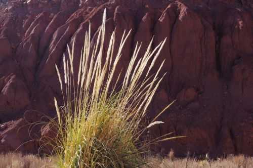 TREKKING NEL DESERTO DI ATACAMA 2015